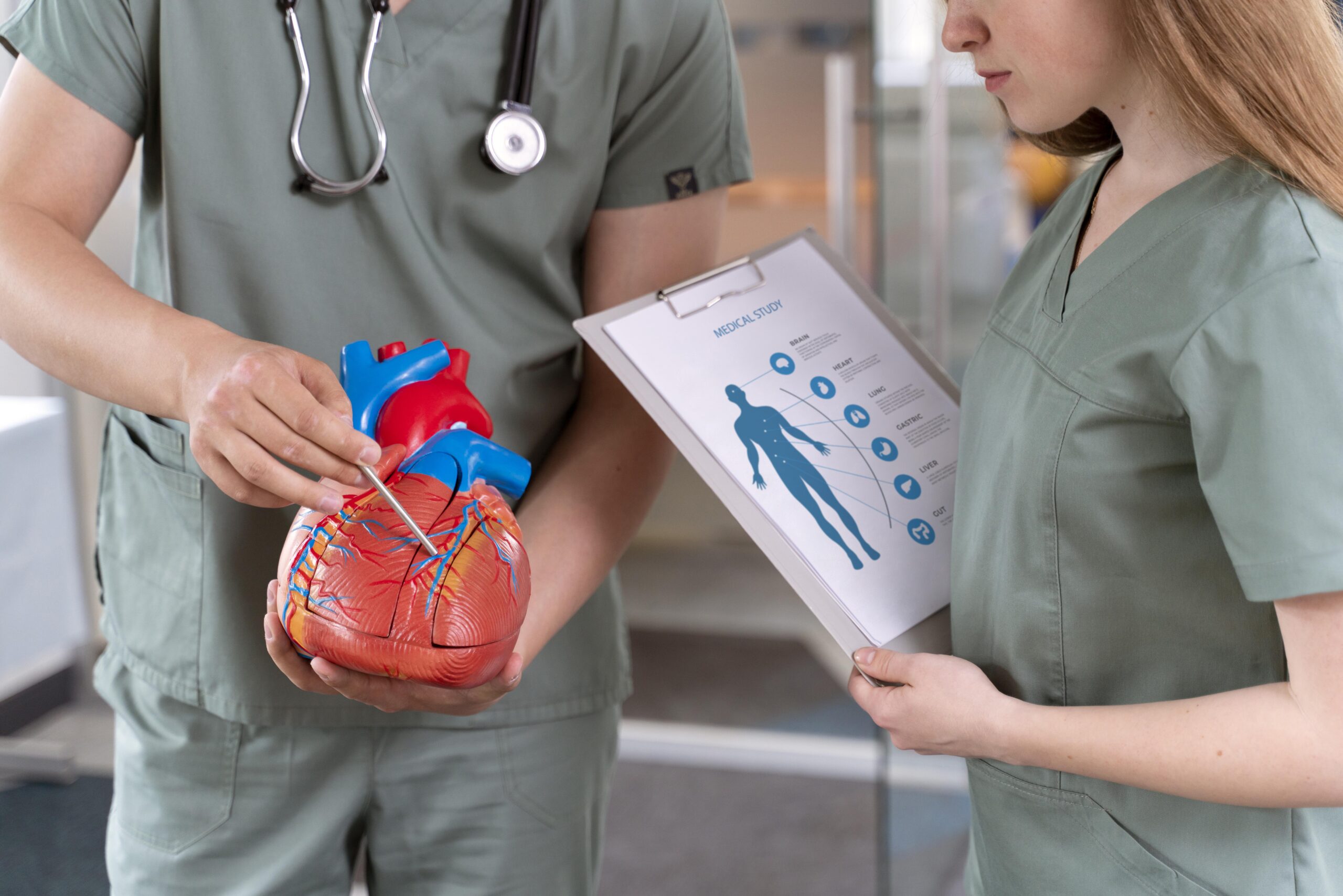 Cardio - vasculaire